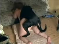 Video do Marcelo gordinha